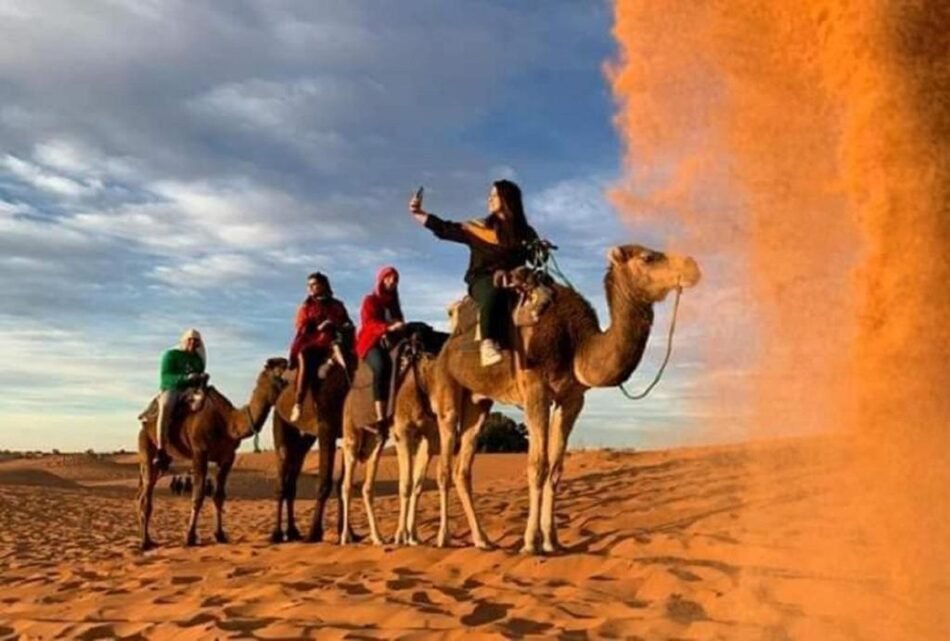 Balade à dos de dromadaire : une expérience inoubliable dans l’Erg Chebbi